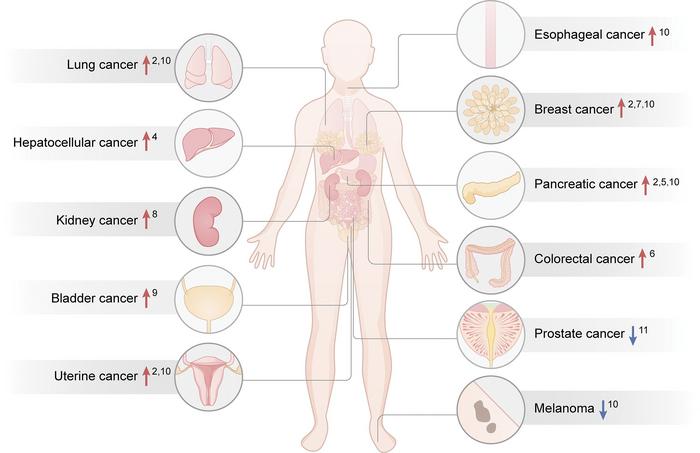 Type 2 diabetes and the risks of cancer.