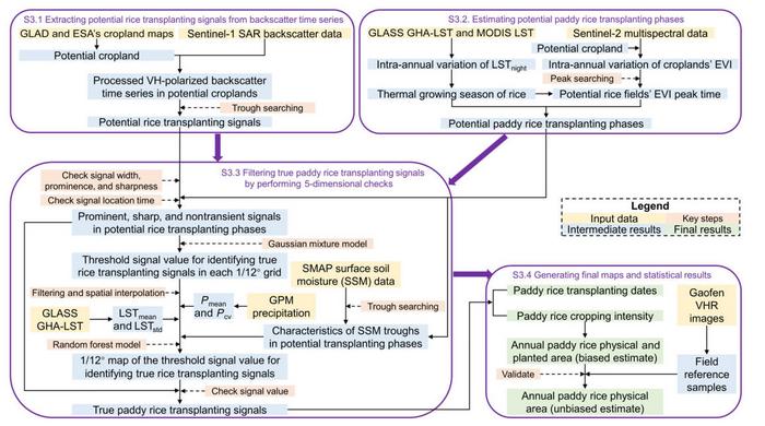 Technical flowchart of this study.