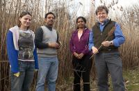 Phragmites Research Team at University of Delaware