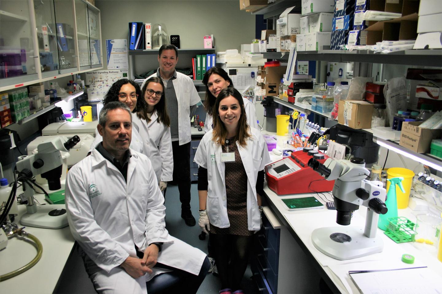 Authors of the Study