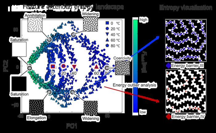 Entropy-extended free energy landscape reveals magnetization reversal in maze domains