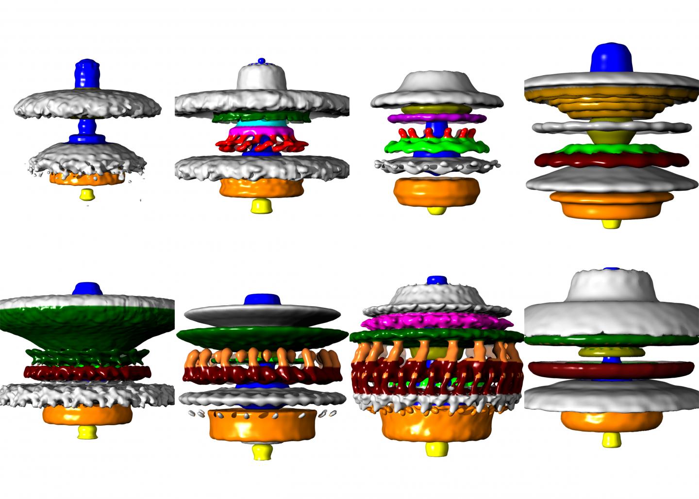 3-D Motors
