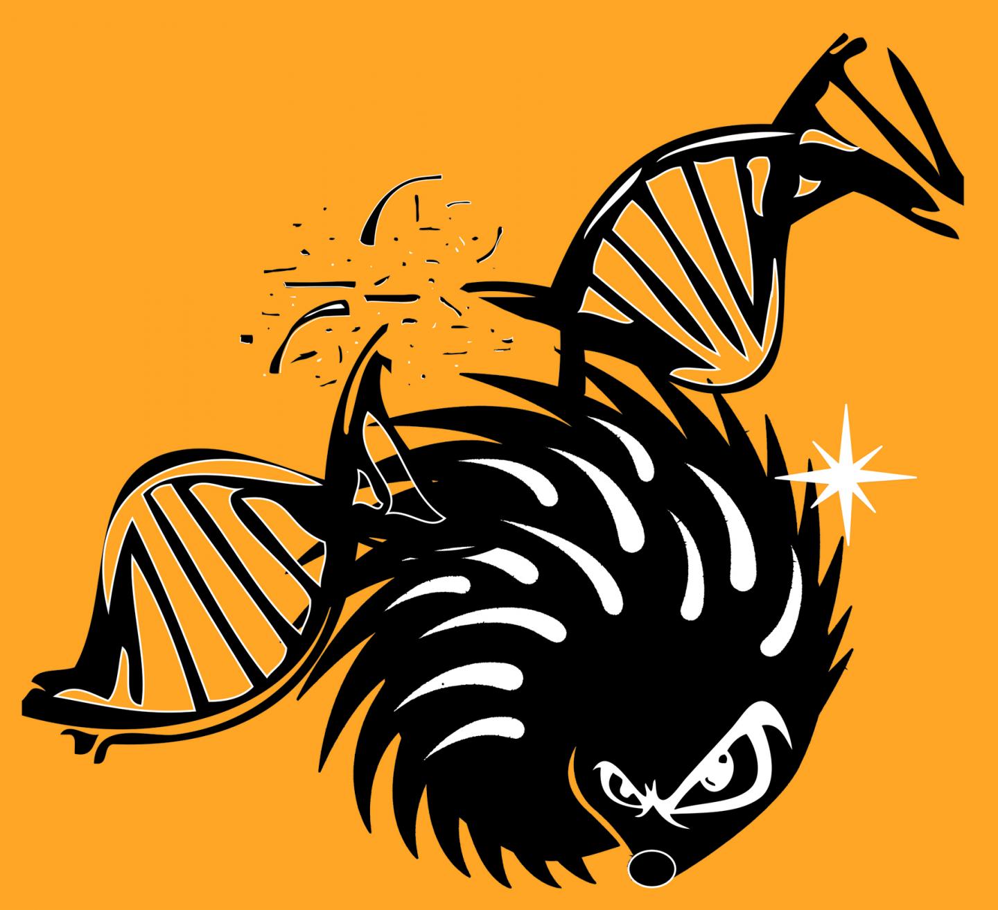 Sonic Hedgehog Protein Causes DNA Damage