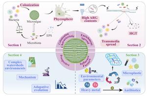 Microalgae in the enrichment and spread of antibiotic resistance genes in watersheds: a review