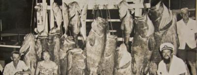 Trophy Fish 1957
