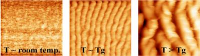 Polymer Ripples