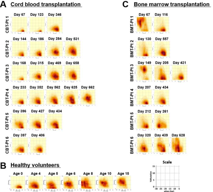 Figure 2. Longitudinal BCR repertoire patterns after CBT and BMT (article Figure 3)