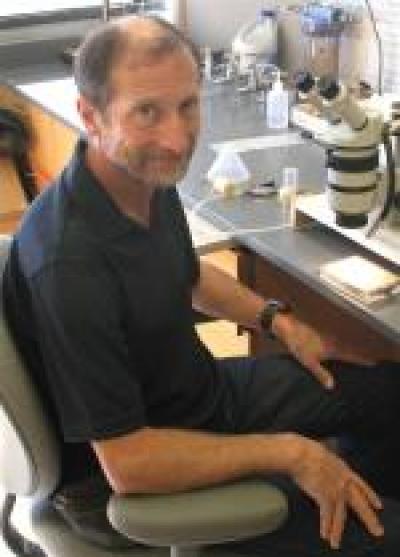William Rice, University of California - Santa Barbara