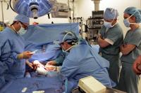 Surgical Team