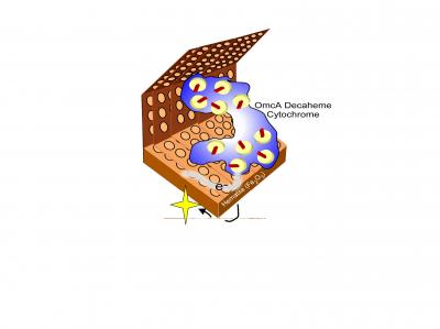 Self-Sealing Biocell