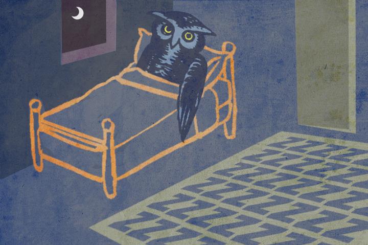 Night Owls Take Note