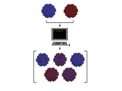 Virus (2 of 2)