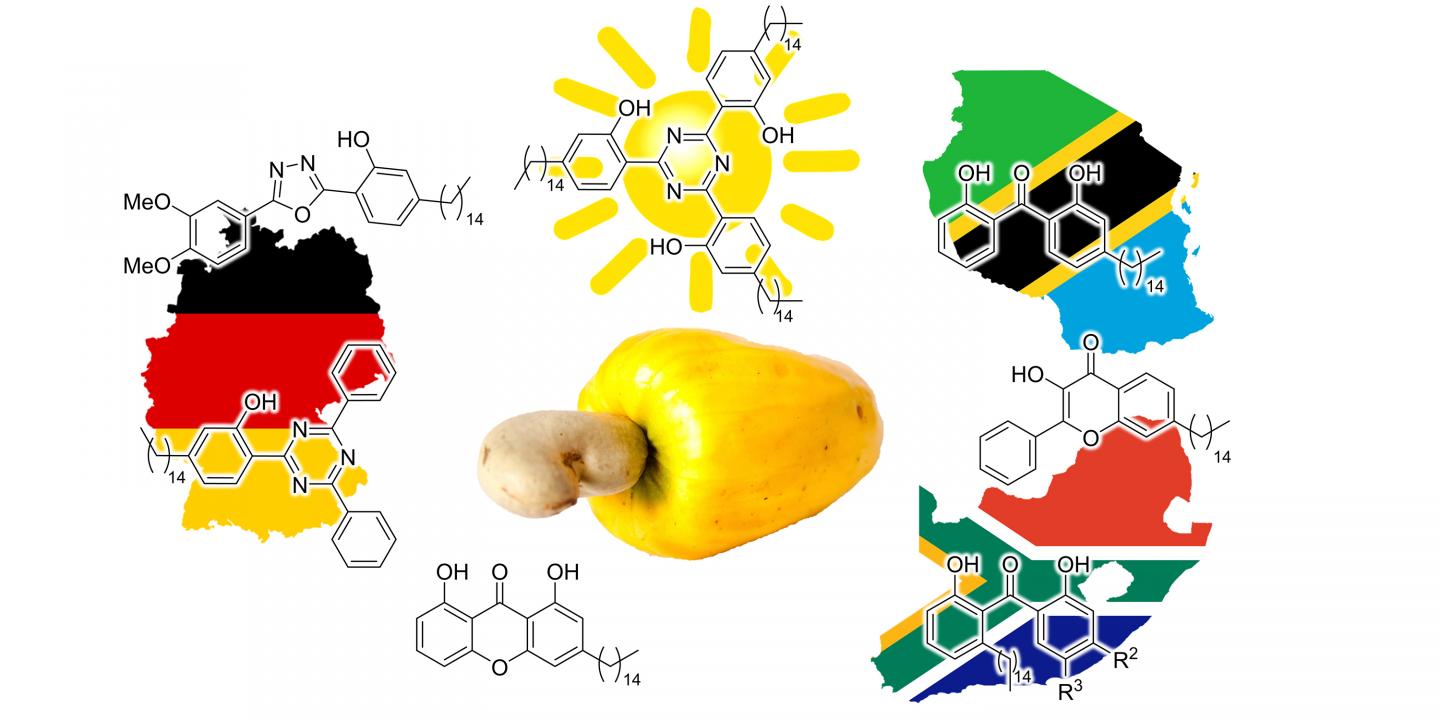 Cashew Nut
