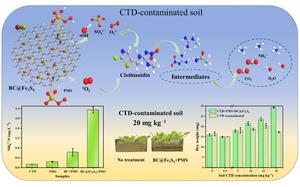 Conversation of pesticide residues into ammonium nitrogen (NH4+-N) through AOPs and its fertilization effect on lettuce growth