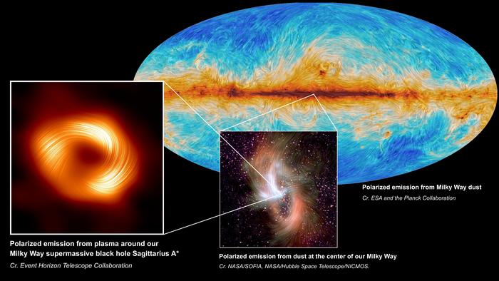 The Polarized Milky Way in Multiple Wavelengths