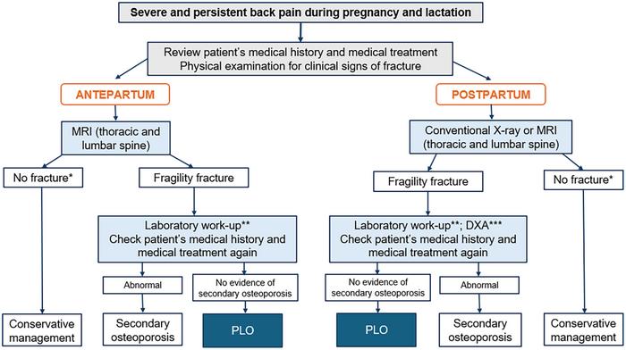 Assessment and diagnosis of women with suspected pregnancy- and lactation-associated osteoporosis (PLO)