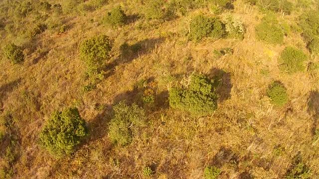 Expanding Tropical Forest Spells Disaster for Conservation (1 of 3)