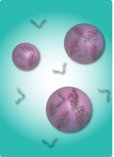 Early-Earth Cells Modeled to Show How First Life Forms Might Have Packaged RNA