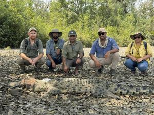 The research team with a saltwater crocodile being released into the wild.