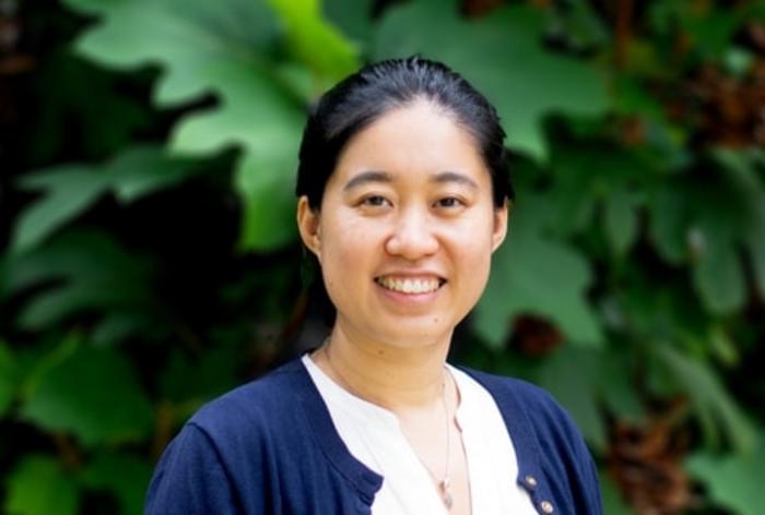 University of Tennessee assistant professor Fei Wang