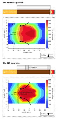 cigarette temp Temperature distribution maps for superslim and king-size cigarettes Reduced ignition propensity requirement may