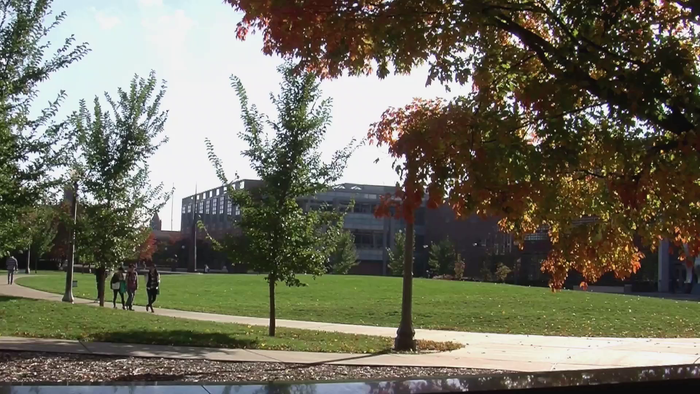 Light in, sound out: molecular probe targets disease using photoacoustics