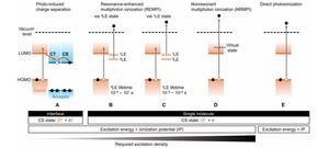 Charge generation pathways of organic materials