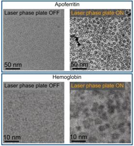 Cryo-EM protein images with and without laser phase plate