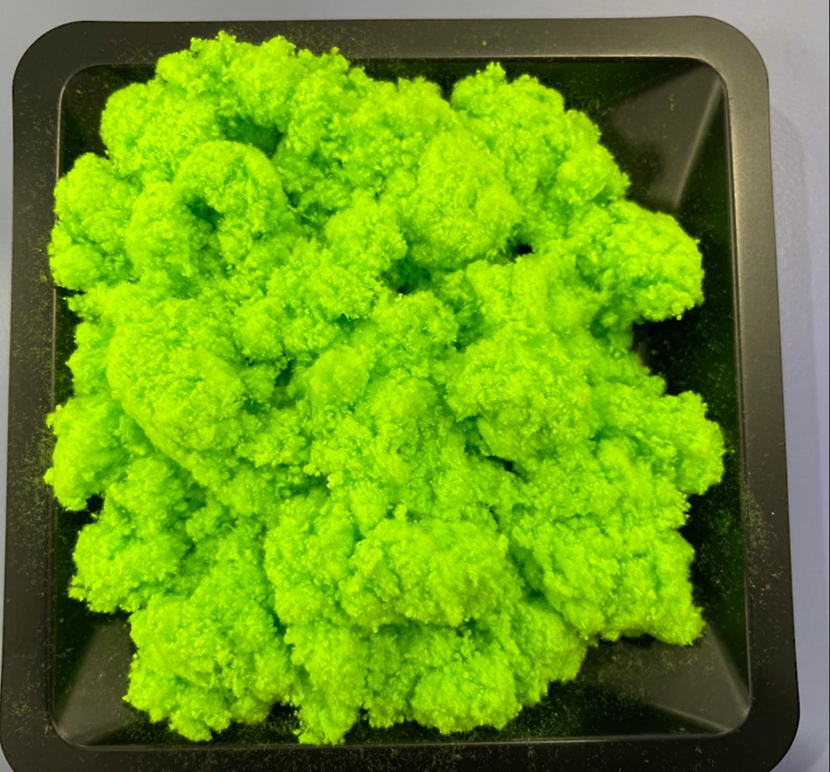 Plastic-eating’ enzymes to be deployed to combat waste polyester clothing