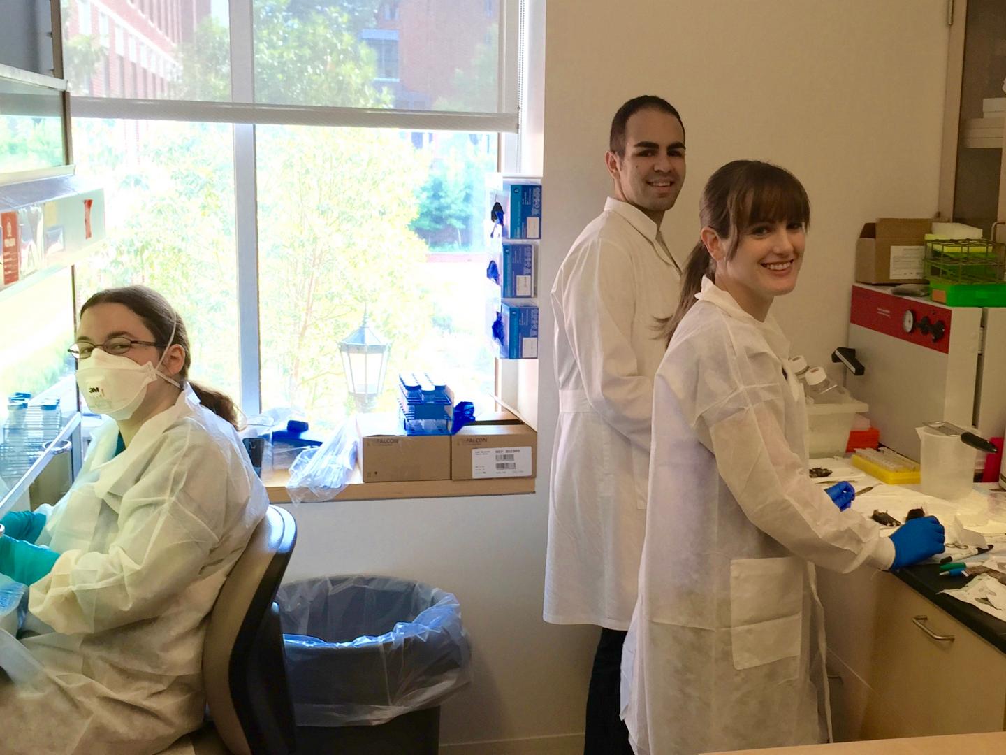 Here's What Makes Epidemic <i>C. Difficile</i> So Deadly -- and a Way to Stop It