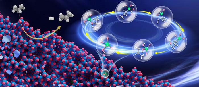 Researchers uncover mechanism behind high performance of cobaltosilicate zeolite catalyst in propane dehydrogenation