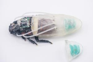 Close-up of the cyborg insect and the new diving suit