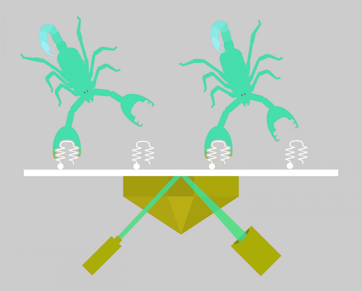 Scorpion Venom