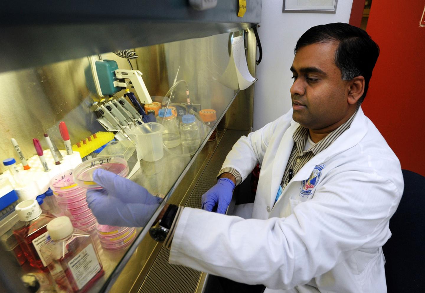 Somanath Shenoy, University of Georgia
