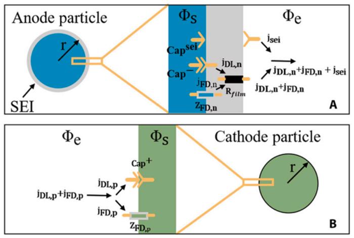 Fig. 2. The reaction process of electrode particles during discharge.