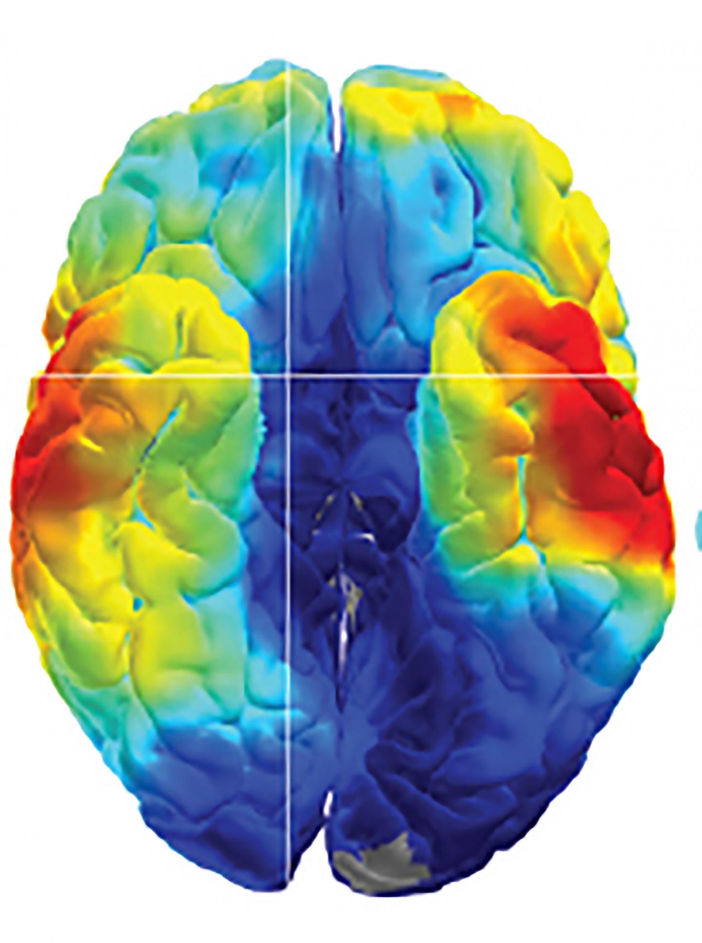 Cracking the Brain's Memory Codes