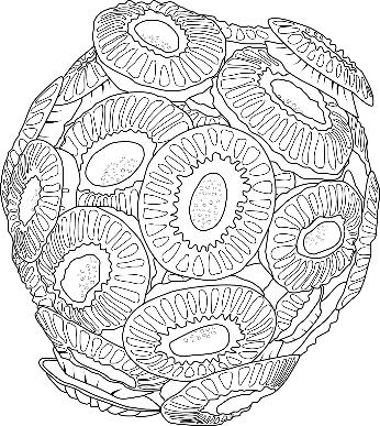 Artist Drawing