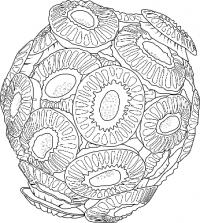Artist Drawing
