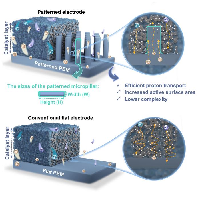 Structural characteristics of patterned electrodes with ordered ionomer micropillars