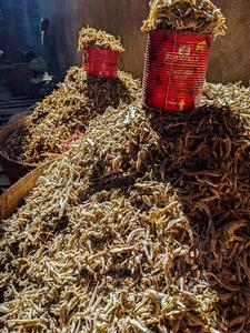 Sun-dried anchovy in Mombasa, Kenya
