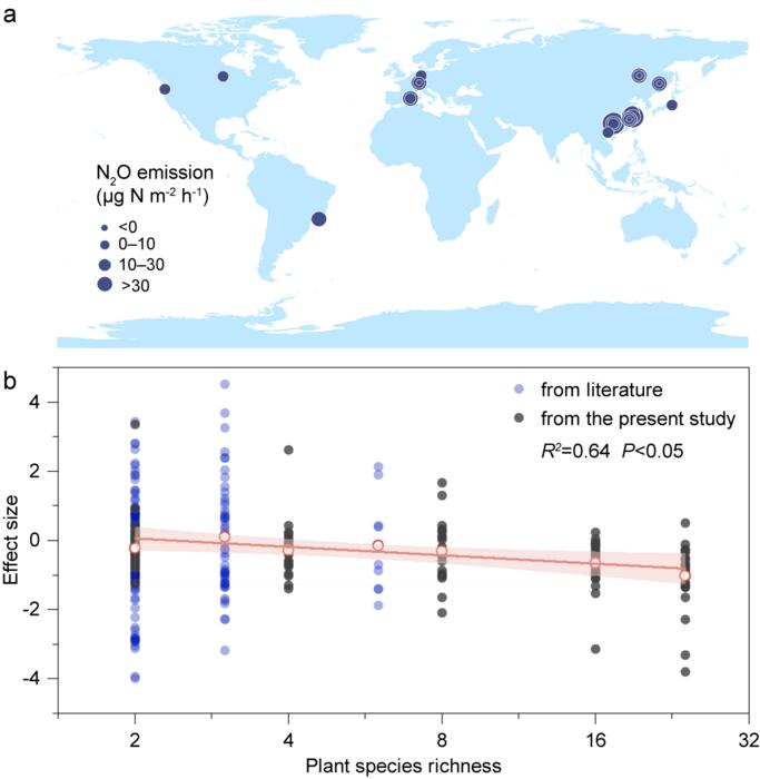Enhancing tree diversity reduces N2O emissions in forest soils worldwide.