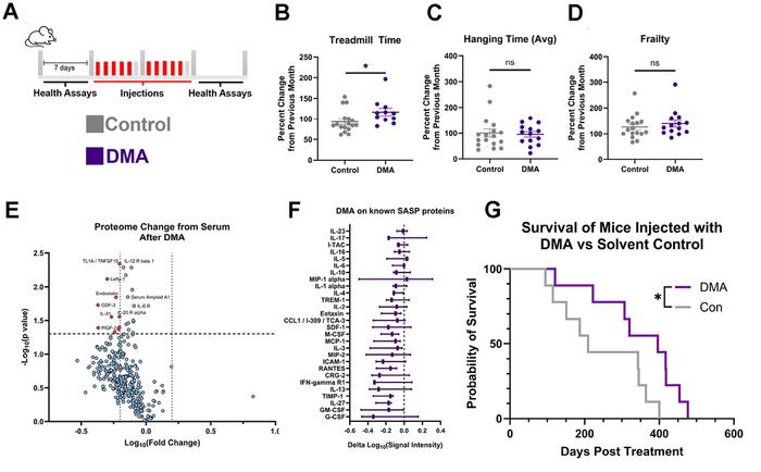 Selective targeting of cancer and senescence via shared metabolic shifts extends lifespan of old mice