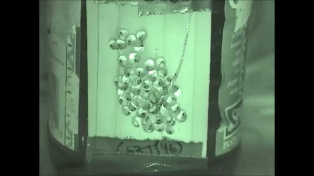 Warkentin Parrot Snake Attack and Induced Hatching