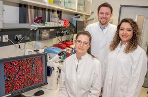 Early “cardiac conditioning” procedure activates the body’s own regenerative mechanisms