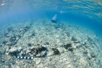 Diver over Pavlopetri Site