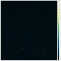 Footage of Flashlight Fish