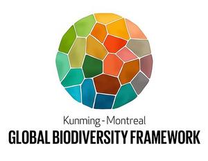 Logo of the Kunming-Montreal Global Biodiversity Framework