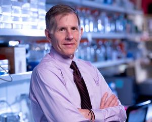 Anthony Olszanski, MD, RPh, Vice Chair of Clinical Research in the Department of Hematology/Oncology and Director of the Early Clinical Drug Development Phase 1 Program at Fox Chase Cancer Center.