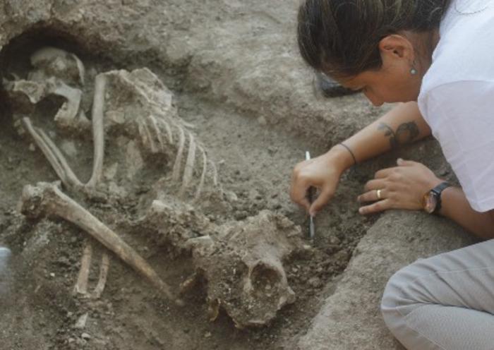 Excavation at Bahçelievler, Turkey