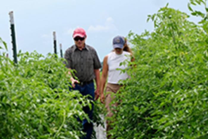 Professor walks through field with student